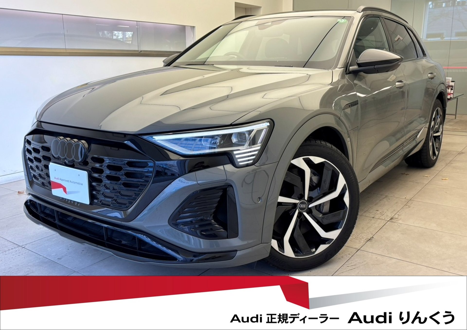 AUDI Q8 E-TRON - View 1