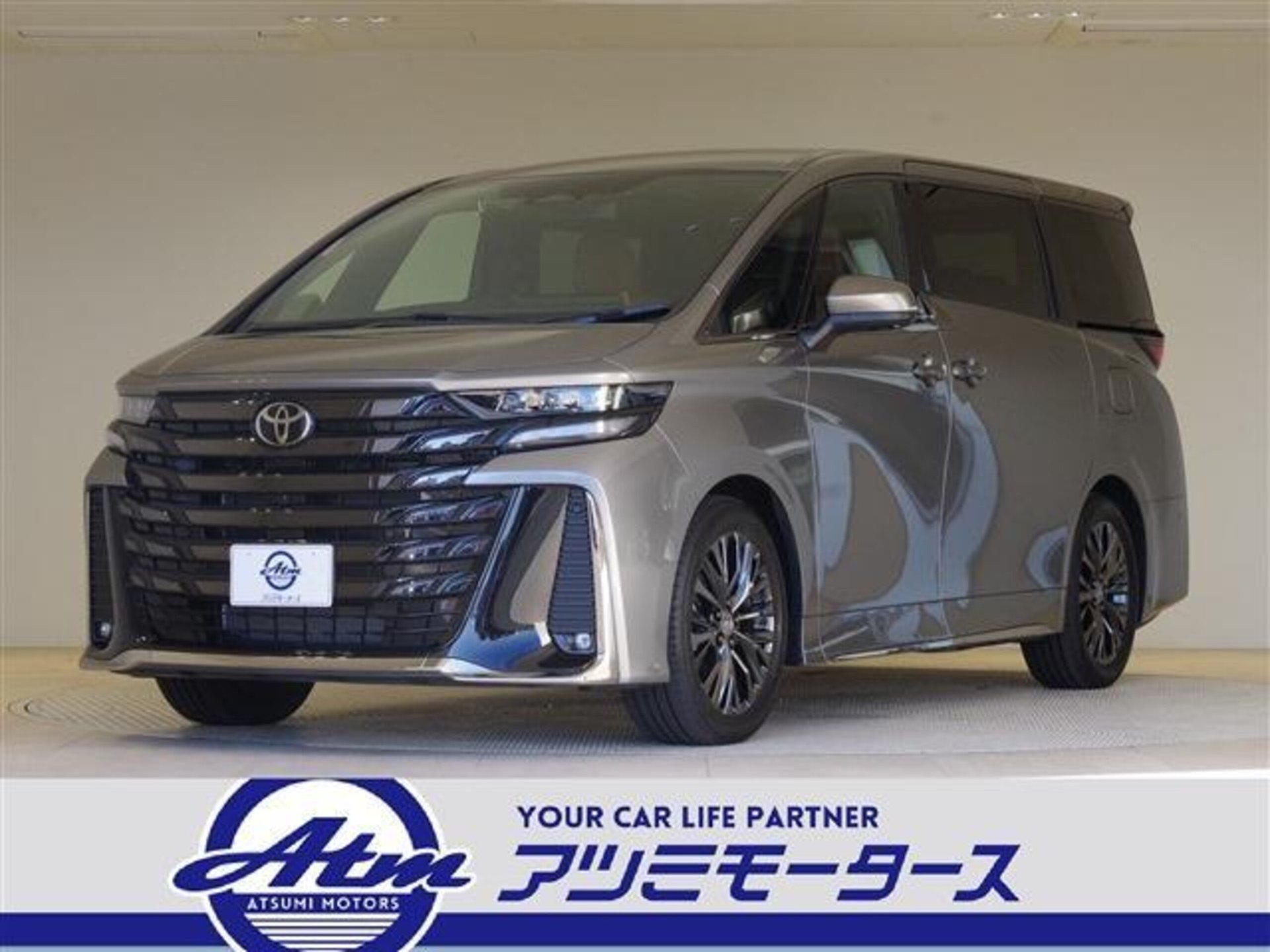 TOYOTA VELLFIRE - View 1