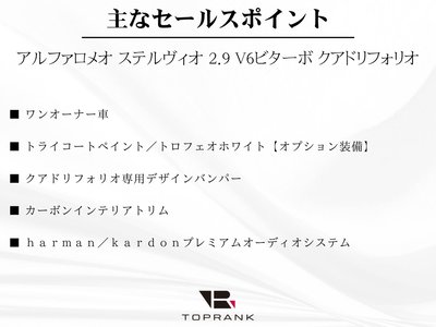 ALFA ROMEO STELVIO - 7