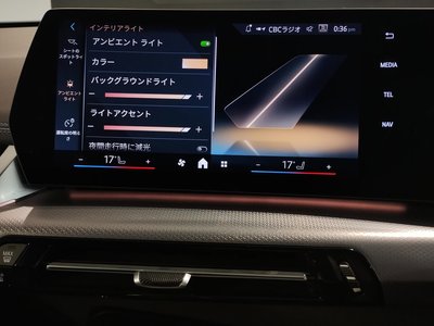 2024 BMW X1 缩略图 58