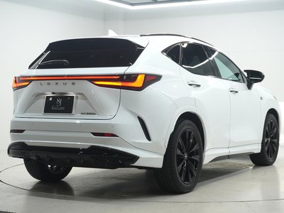 LEXUS NX - 6