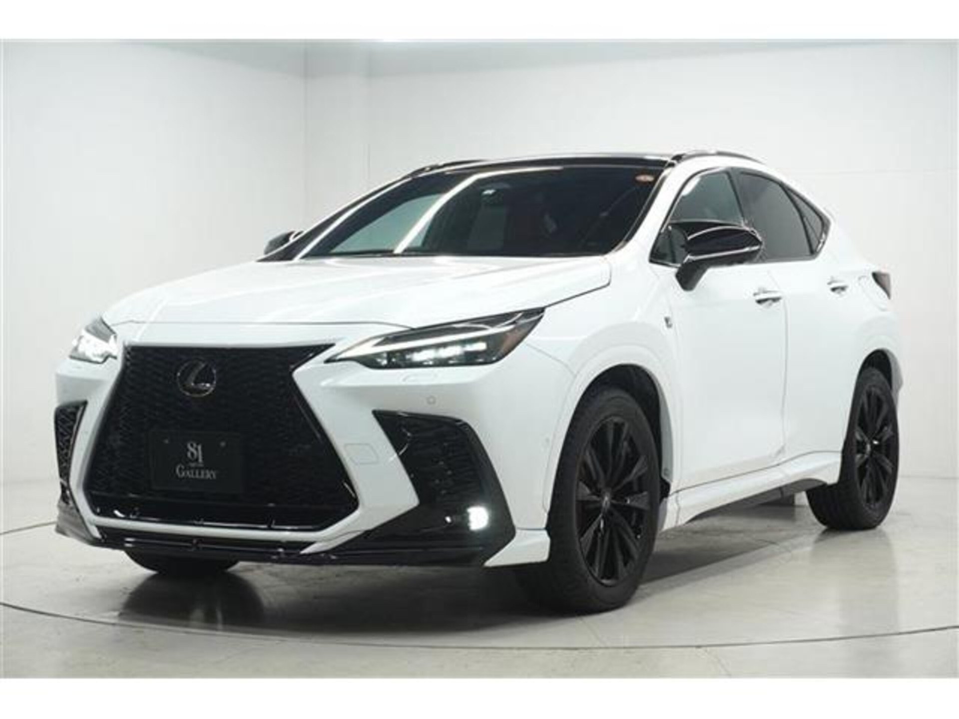 LEXUS NX - View 1