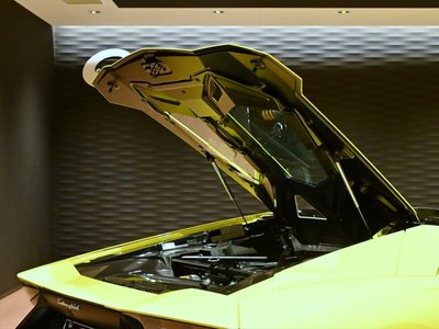2014 Lamborghini AVENTADOR ROADSTER 缩略图 33