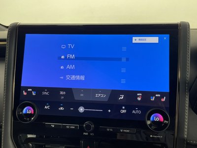 2024 TOYOTA ALPHARD 缩略图 50