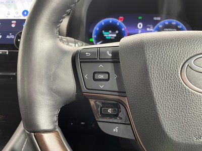 2024 TOYOTA ALPHARD 缩略图 28