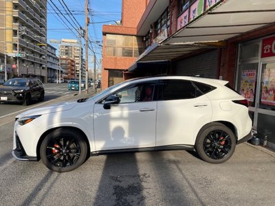 LEXUS NX - 6