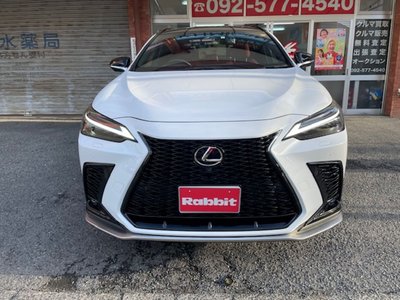 LEXUS NX - 4