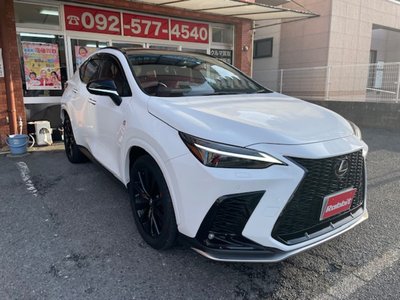 LEXUS NX - 3