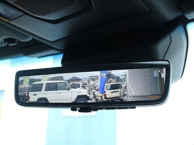 2024 Toyota LAND CRUISER 250 thumbnail 31