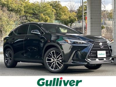 LEXUS NX - 1