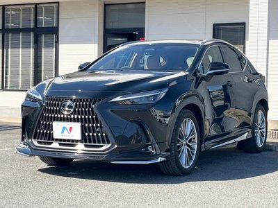 صورة مصغرة 17 لـ 2023 Lexus NX