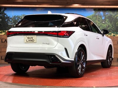 2025 Lexus RX — миниатюра 17