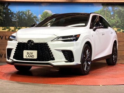 2025 Lexus RX — миниатюра 28