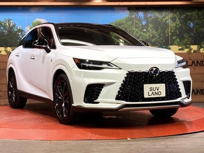 2025 Lexus RX — миниатюра 16