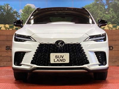 2025 Lexus RX — миниатюра 14