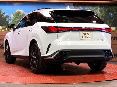 2025 Lexus RX — миниатюра 30