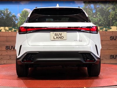 2025 Lexus RX — миниатюра 15
