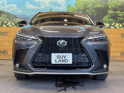 2025 Lexus NX 缩略图 14