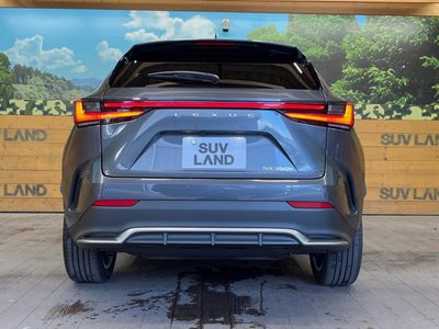 2025 Lexus NX 缩略图 57