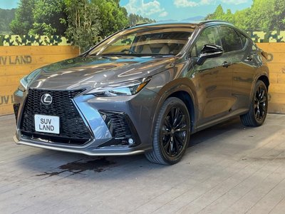 2025 Lexus NX 缩略图 54