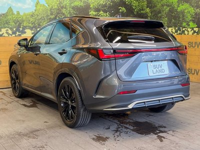 2025 Lexus NX 缩略图 58