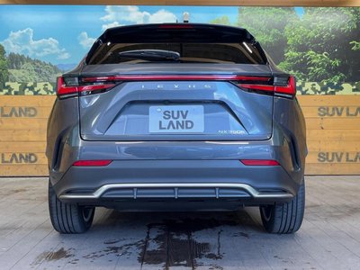 2025 Lexus NX 缩略图 15
