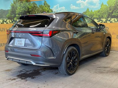2025 Lexus NX 缩略图 17