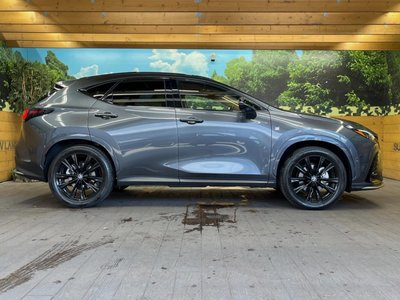 2025 Lexus NX 缩略图 56