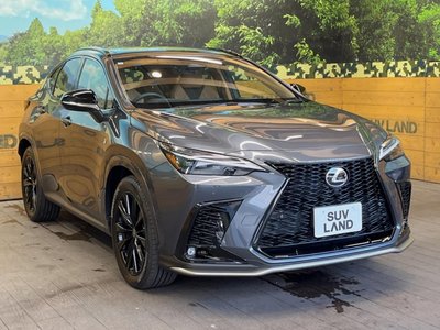 2025 Lexus NX 缩略图 16