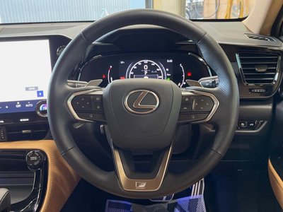 2025 Lexus NX 缩略图 11