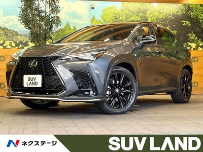 2025 Lexus NX 照片 1