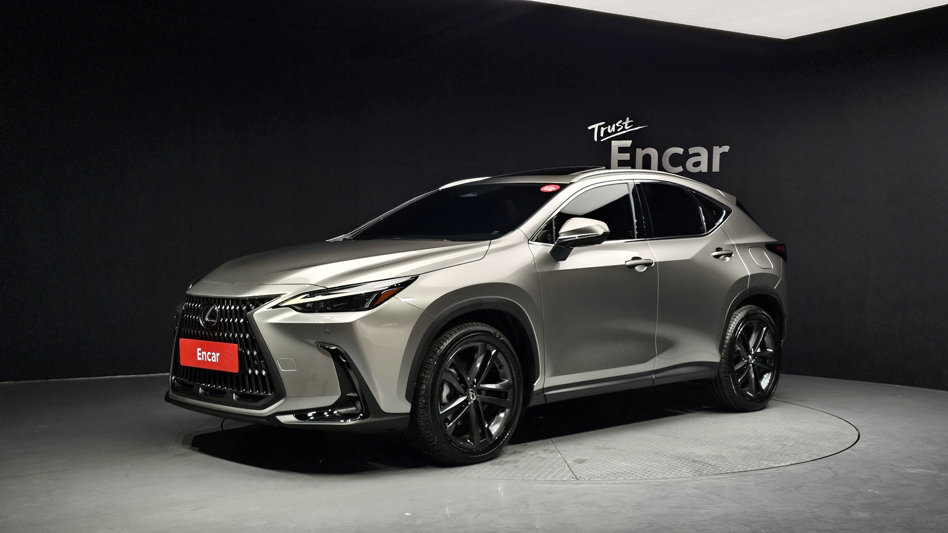 LEXUS NX - View 1