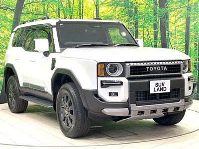 صورة مصغرة 19 لـ 2025 Toyota LAND CRUISER 250