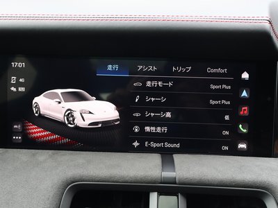 2022 Porsche TAYCAN 缩略图 30