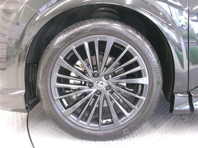 2024 Lexus RX thumbnail 20