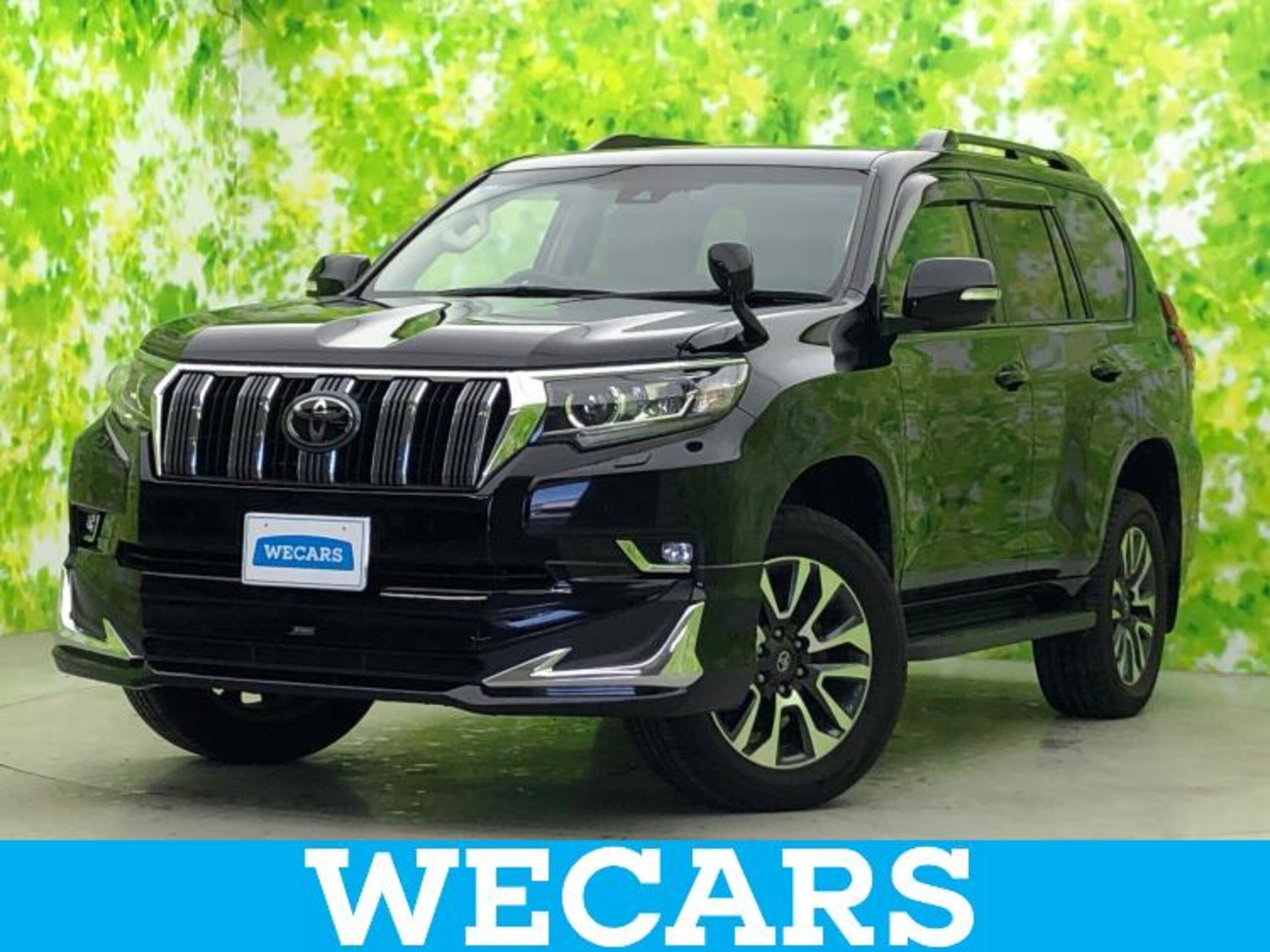 TOYOTA LAND CRUISER PRADO - View 1