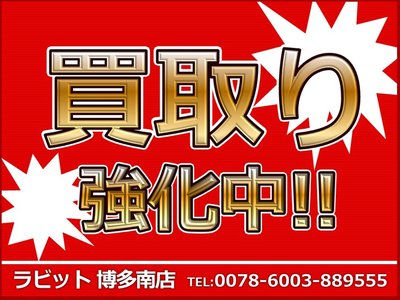 TOYOTA LAND CRUISER 250 - 2