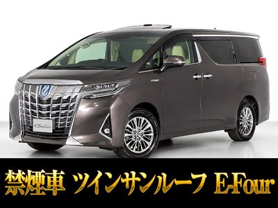 2021 Toyota ALPHARD 照片 1