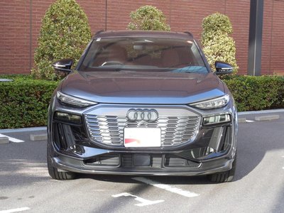 2025 AUDI SQ6 E-TRON — фото 19