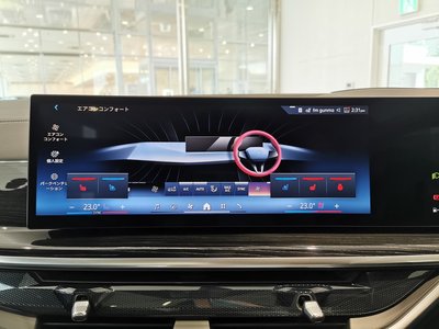 BMW X5 - 4