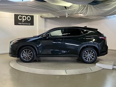2023 Lexus NX 照片 9
