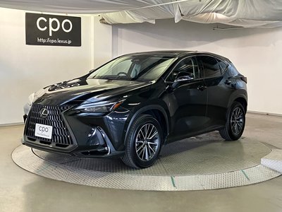 2023 Lexus NX 照片 2