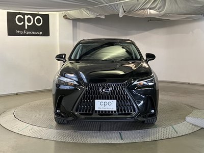 2023 Lexus NX 照片 8