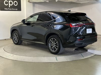 2023 Lexus NX 照片 3