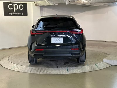 2023 Lexus NX 照片 10