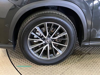 2023 Lexus NX — миниатюра 14
