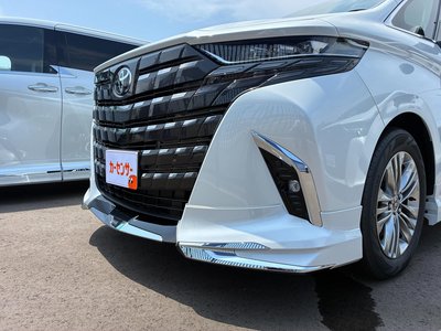 2026 Toyota ALPHARD 照片 4