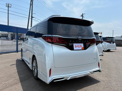 2026 Toyota ALPHARD 照片 10