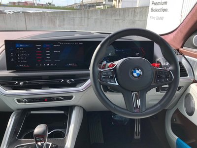 2024 BMW XM 缩略图 48