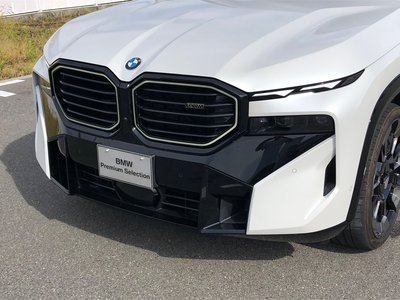 2024 BMW XM 缩略图 40
